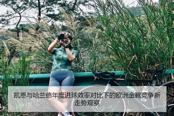凯恩与哈兰德年度进球效率对比下的欧洲金靴竞争新走势观察